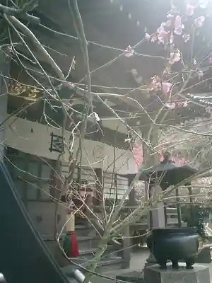 安國論寺（安国論寺）の本殿・本堂