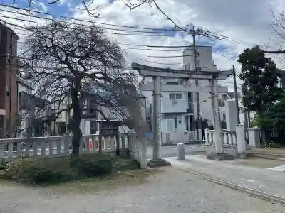 氷川神社の{uncategorized: "未分類", other: "その他", undefined: "問題あり", building: "その他建物", grave: "お墓", sacred_gate: "鳥居", guardian: "狛犬", statue: "像", buddha: "仏像", history: "歴史", nature: "自然", garden: "庭園", animal: "動物", pagoda: "塔", temizu: "手水舎", mountain_gate: "山門・神門", sanctuary: "本殿・本堂", subordinate: "末社・摂社", art: "芸術", scenery: "景色", jizo: "地蔵", ema: "絵馬", goshuin: "御朱印", omikuji: "おみくじ", items: "授与品その他", amulet: "お守り", goshuincho: "御朱印帳", eats: "食事", festival: "お祭り", votive_dance: "神楽", shichigosan: "七五三参", wedding: "結婚式", experience: "体験その他", initially: "初詣", around: "周辺", anti_infection: "感染症対策"}