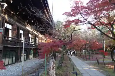 真正極楽寺(真如堂)のその他建物