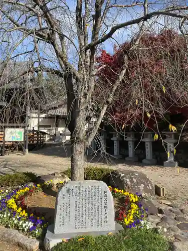 安倍文殊院 の自然