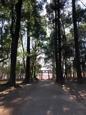 東蕗田天満社のその他建物