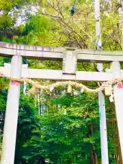 日先神社の鳥居