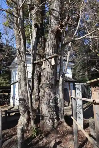 梨木神社(京都府)