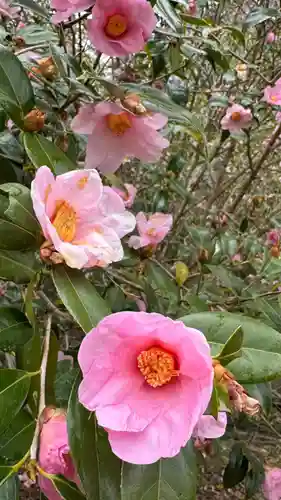 和氣神社（和気神社）(岡山県)