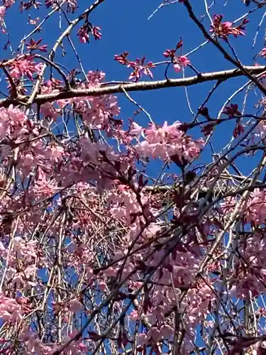 上野東照宮の自然