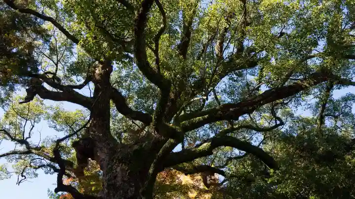 松森天満宮(長崎県)