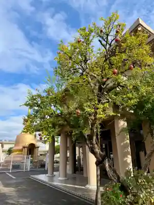 福王山  慈眼寺(東京都)