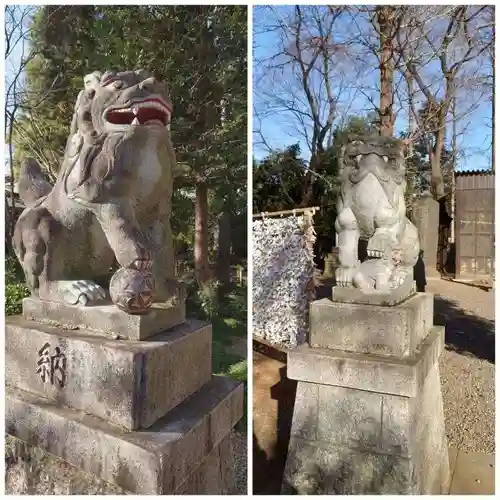 岩槻久伊豆神社の狛犬