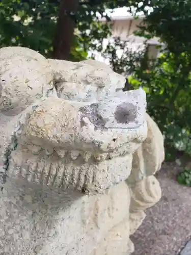 賀茂神社の狛犬