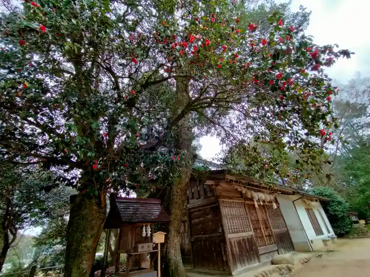 玉作湯神社(島根県)