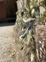 岩神神社(奈良県)