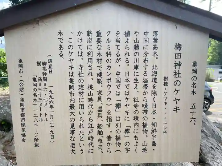 梅田神社(京都府)