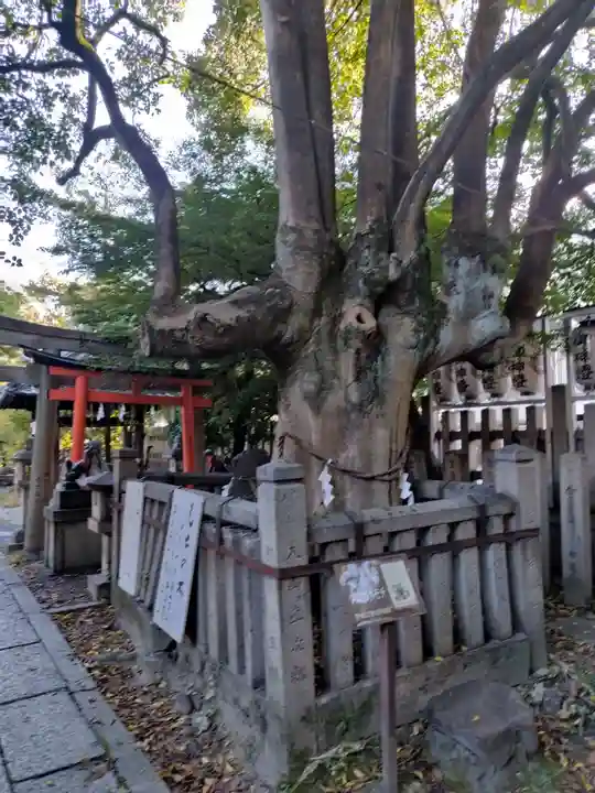満足稲荷神社(京都府)