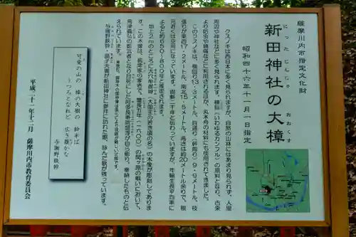 新田神社(鹿児島県)