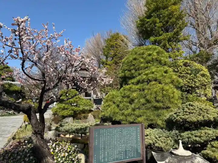 大蓮寺の{uncategorized: "未分類", other: "その他", undefined: "問題あり", building: "その他建物", grave: "お墓", sacred_gate: "鳥居", guardian: "狛犬", statue: "像", buddha: "仏像", history: "歴史", nature: "自然", garden: "庭園", animal: "動物", pagoda: "塔", temizu: "手水舎", mountain_gate: "山門・神門", sanctuary: "本殿・本堂", subordinate: "末社・摂社", art: "芸術", scenery: "景色", jizo: "地蔵", ema: "絵馬", goshuin: "御朱印", omikuji: "おみくじ", items: "授与品その他", amulet: "お守り", goshuincho: "御朱印帳", eats: "食事", festival: "お祭り", votive_dance: "神楽", shichigosan: "七五三参", wedding: "結婚式", experience: "体験その他", initially: "初詣", around: "周辺", anti_infection: "感染症対策"}
