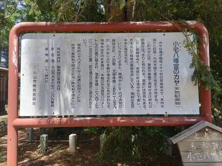 八幡神社(栃木県)