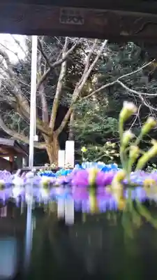 前玉神社の手水舎