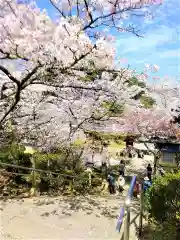 武雄神社の自然