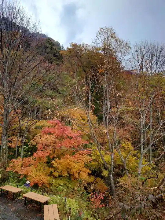 戸隠神社奥社(長野県)