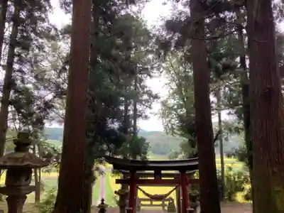 大宮温泉神社の鳥居