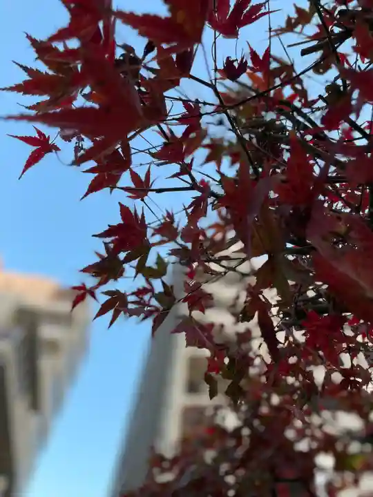 高輪神社(東京都)