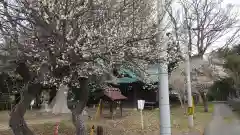 酒門神社(茨城県)