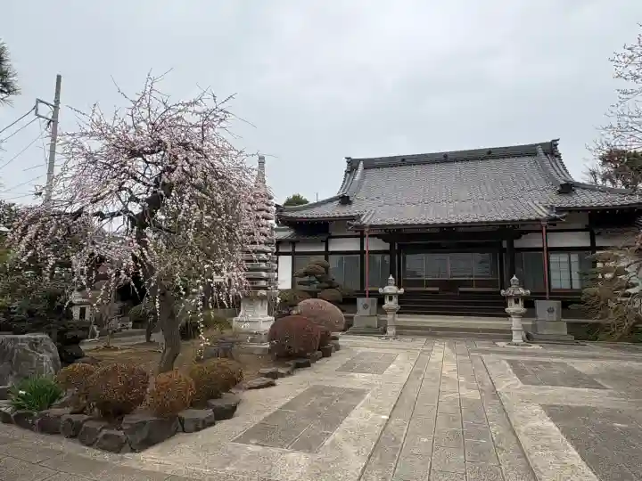 保寿院の{uncategorized: "未分類", other: "その他", undefined: "問題あり", building: "その他建物", grave: "お墓", sacred_gate: "鳥居", guardian: "狛犬", statue: "像", buddha: "仏像", history: "歴史", nature: "自然", garden: "庭園", animal: "動物", pagoda: "塔", temizu: "手水舎", mountain_gate: "山門・神門", sanctuary: "本殿・本堂", subordinate: "末社・摂社", art: "芸術", scenery: "景色", jizo: "地蔵", ema: "絵馬", goshuin: "御朱印", omikuji: "おみくじ", items: "授与品その他", amulet: "お守り", goshuincho: "御朱印帳", eats: "食事", festival: "お祭り", votive_dance: "神楽", shichigosan: "七五三参", wedding: "結婚式", experience: "体験その他", initially: "初詣", around: "周辺", anti_infection: "感染症対策"}
