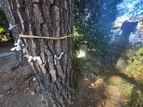 開運招福 飯玉神社(群馬県)