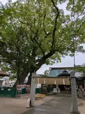 猿田彦大神の{uncategorized: "未分類", other: "その他", undefined: "問題あり", building: "その他建物", grave: "お墓", sacred_gate: "鳥居", guardian: "狛犬", statue: "像", buddha: "仏像", history: "歴史", nature: "自然", garden: "庭園", animal: "動物", pagoda: "塔", temizu: "手水舎", mountain_gate: "山門・神門", sanctuary: "本殿・本堂", subordinate: "末社・摂社", art: "芸術", scenery: "景色", jizo: "地蔵", ema: "絵馬", goshuin: "御朱印", omikuji: "おみくじ", items: "授与品その他", amulet: "お守り", goshuincho: "御朱印帳", eats: "食事", festival: "お祭り", votive_dance: "神楽", shichigosan: "七五三参", wedding: "結婚式", experience: "体験その他", initially: "初詣", around: "周辺", anti_infection: "感染症対策"}
