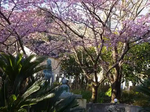 かっぱの寺 栖足寺の庭園