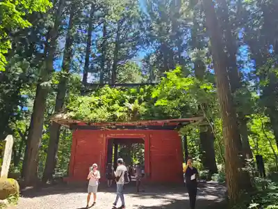 戸隠神社奥社(長野県)