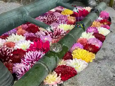 岡寺(龍蓋寺)(奈良県)