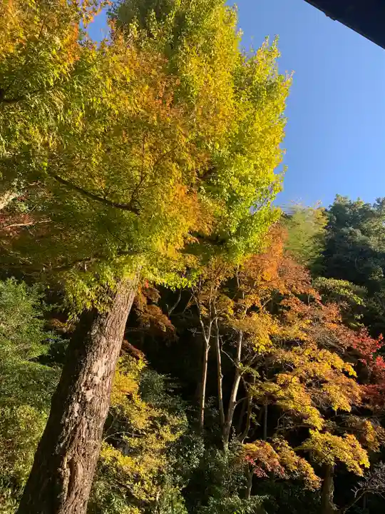 楠妣庵観音寺(大阪府)