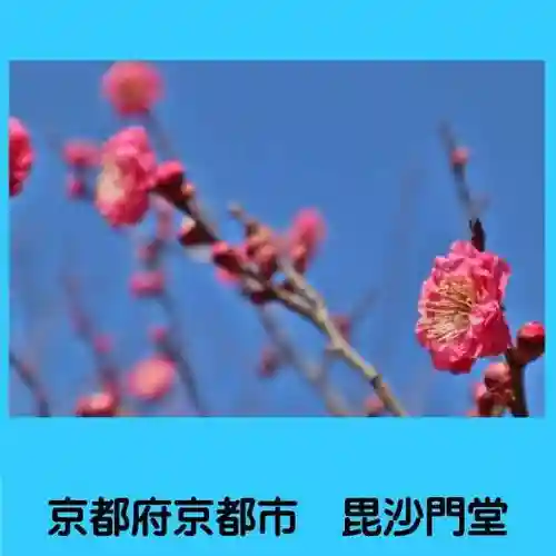 毘沙門堂門跡の自然