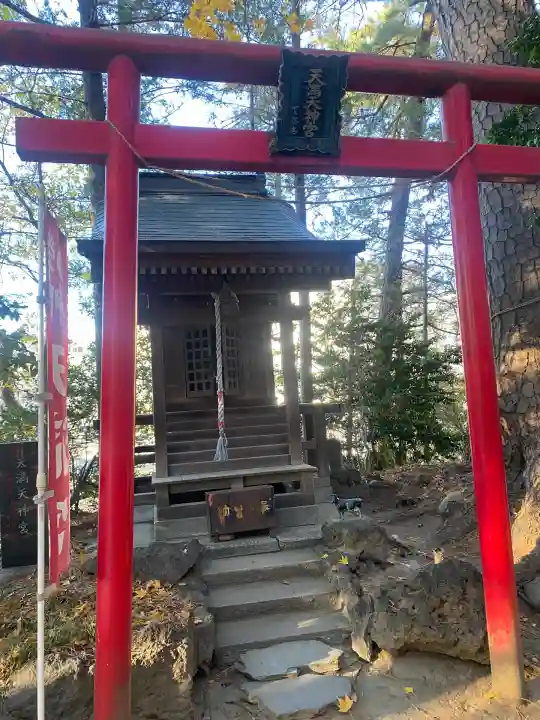 開運招福 飯玉神社(群馬県)