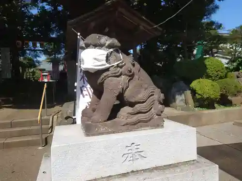 金ヶ作熊野神社の狛犬