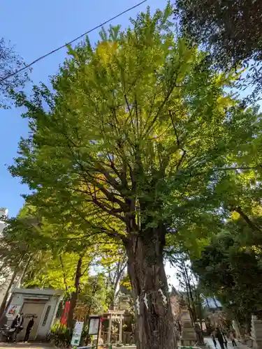 鳩森八幡神社(東京都)