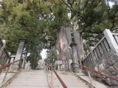 戸隠神社中社のその他建物