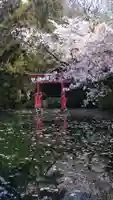 赤城神社(群馬県)