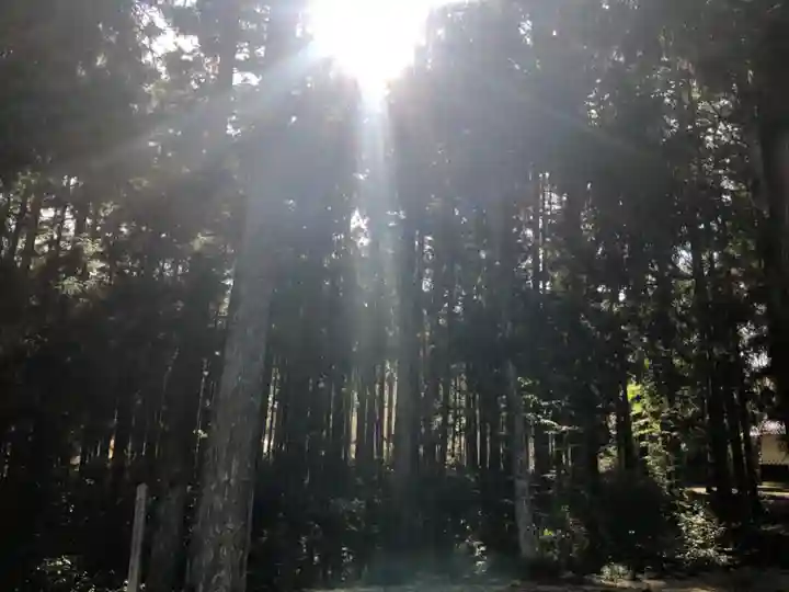 日咩坂鐘乳穴神社の自然
