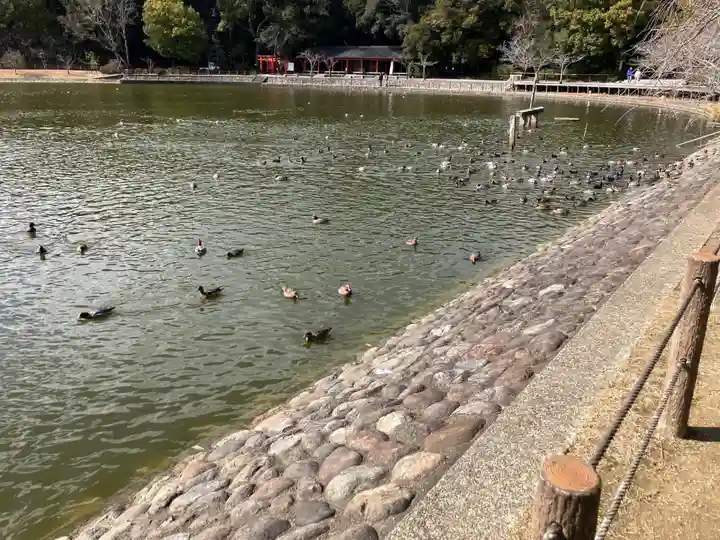 橿原神宮(奈良県)