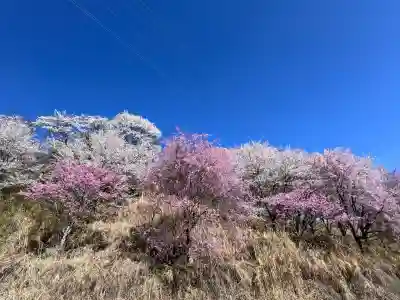 諏訪大社下社春宮の{uncategorized: "未分類", other: "その他", undefined: "問題あり", building: "その他建物", grave: "お墓", sacred_gate: "鳥居", guardian: "狛犬", statue: "像", buddha: "仏像", history: "歴史", nature: "自然", garden: "庭園", animal: "動物", pagoda: "塔", temizu: "手水舎", mountain_gate: "山門・神門", sanctuary: "本殿・本堂", subordinate: "末社・摂社", art: "芸術", scenery: "景色", jizo: "地蔵", ema: "絵馬", goshuin: "御朱印", omikuji: "おみくじ", items: "授与品その他", amulet: "お守り", goshuincho: "御朱印帳", eats: "食事", festival: "お祭り", votive_dance: "神楽", shichigosan: "七五三参", wedding: "結婚式", experience: "体験その他", initially: "初詣", around: "周辺", anti_infection: "感染症対策"}