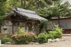 石津十禅師 日吉神社（新旭町針江）(滋賀県)