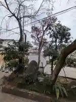 慈照院(東京都)