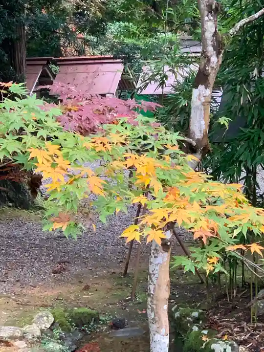 元伊勢内宮 皇大神社(京都府)