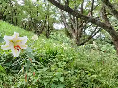 白狐山光星寺(山形県)