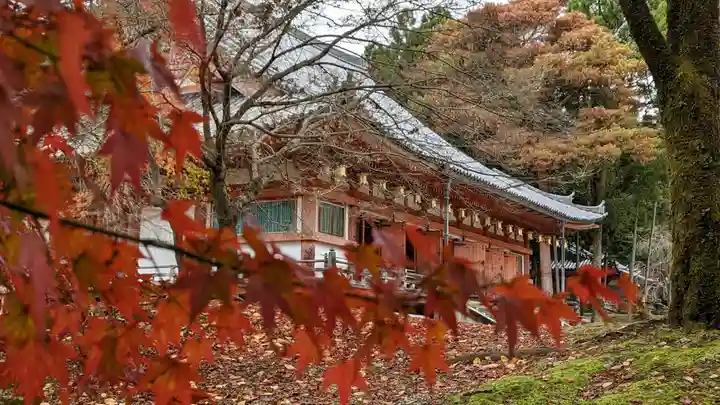 醍醐寺(京都府)