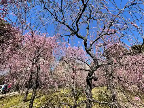 城南宮(京都府)