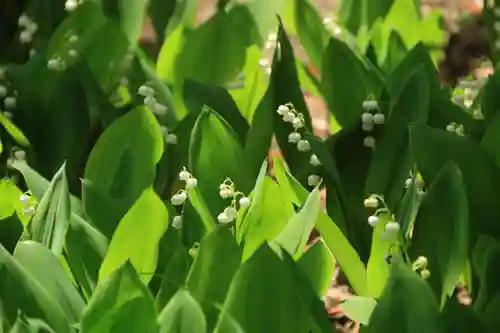 開成山大神宮の庭園