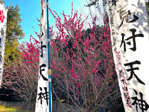 矢奈比賣神社（見付天神）の自然